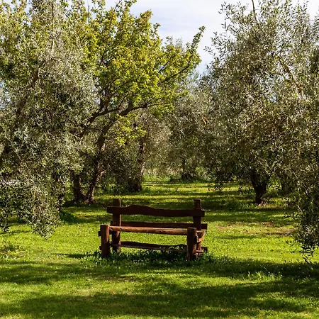 Farm stay Marta